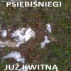 Wiosna...