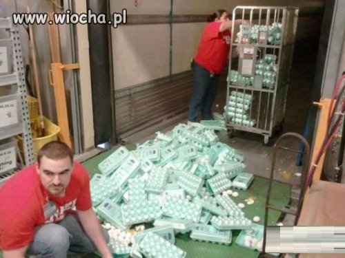 Dostawcy fachowcy...