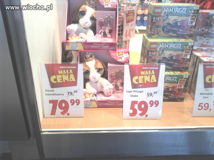 Mała Cena w Smyku w Zielonej Górze
