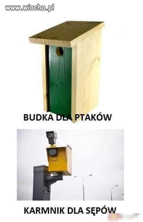 Sępy nadchodzą