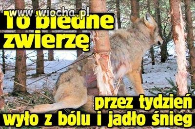 Jak można być takim dziadem !
