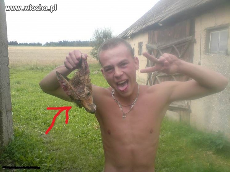 Nie ma to jak zdjęcie ze zwierzakiem