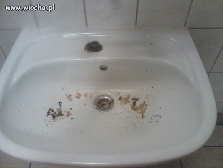 Jeden z wrocławskich akademików, piętro kobiece