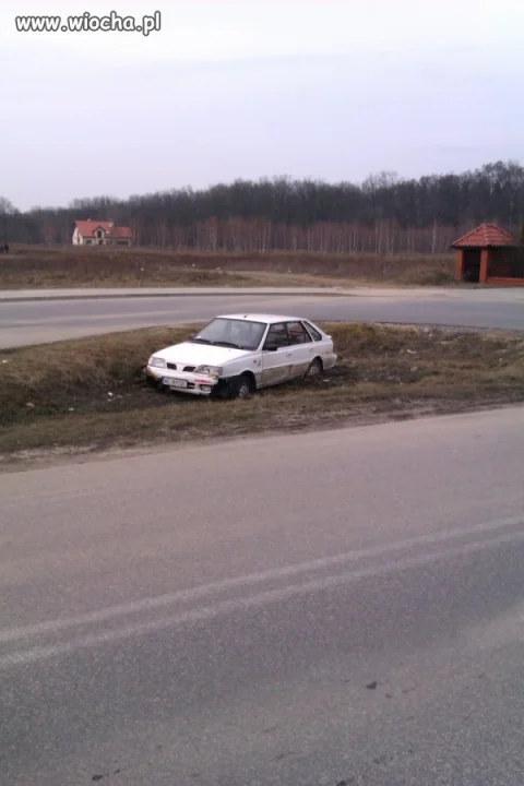 Mistrz parkowania