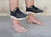 Kolekcja wiosenna : buty nie do zdarcia