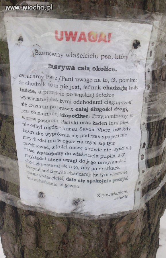 Kreatywni z wiochy 