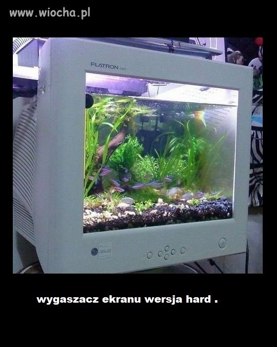 Wygaszacz ekranu