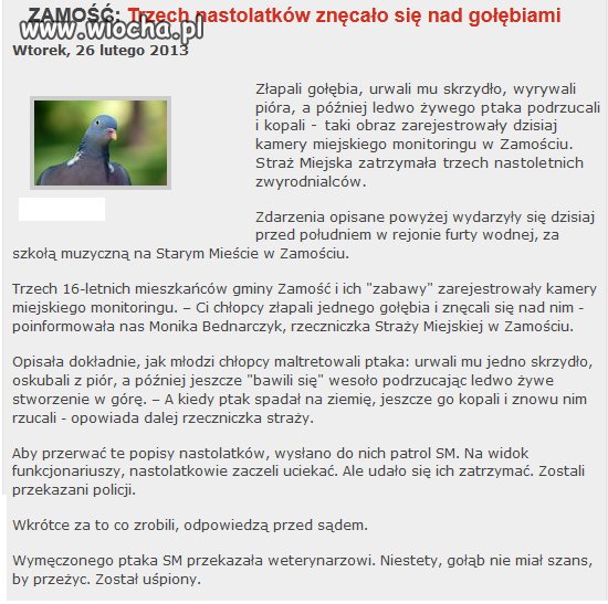 Gdy gimbaza się nudzi