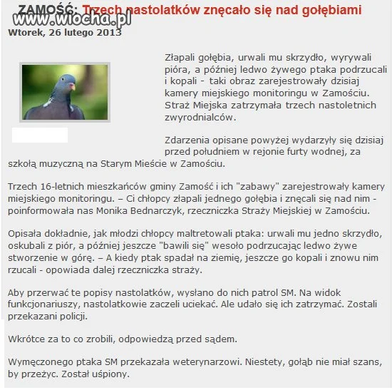 Gdy gimbaza się nudzi