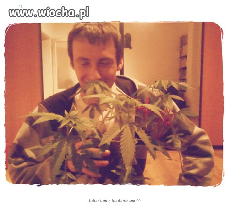 Takie tam z roślinkami...