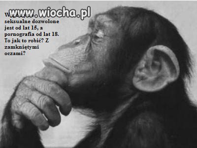 Przykro jest to stwierdzać, ale...