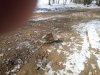 Nowa nawierzchnia na drodze w Borszewicach