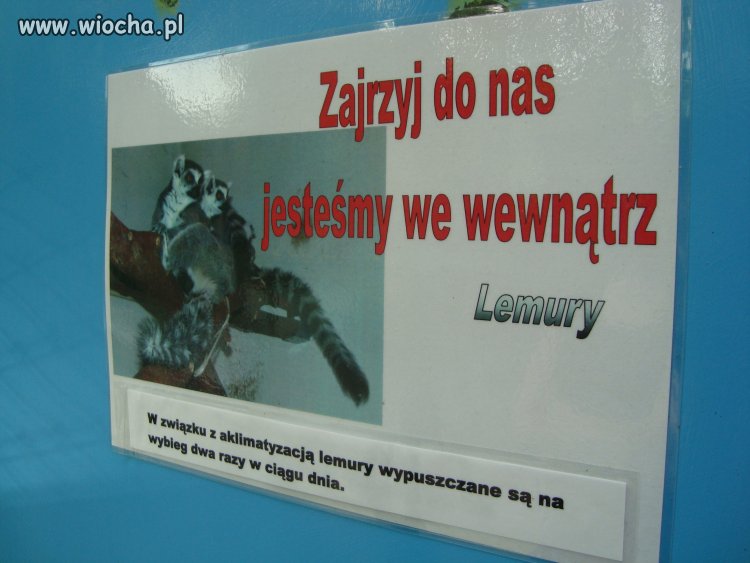 W Bydgoskim Myślęcinku