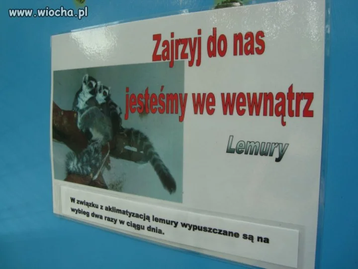 W Bydgoskim Myślęcinku