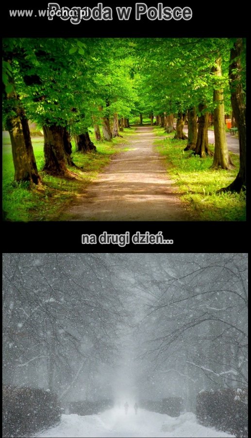Pogoda w Polsce to wiocha