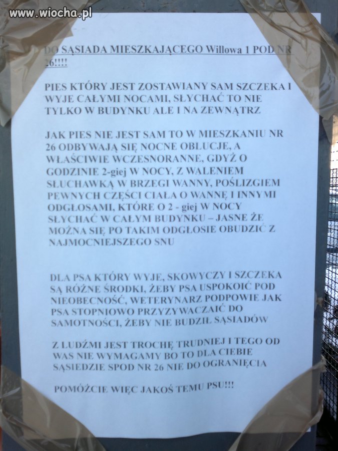 Szkoda psa 
