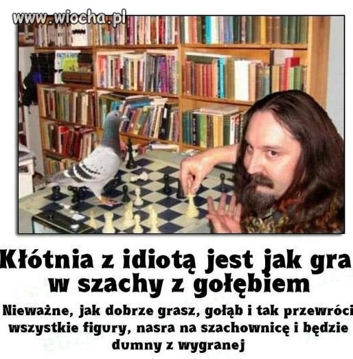 Prawda na temat kłótni z idiotą