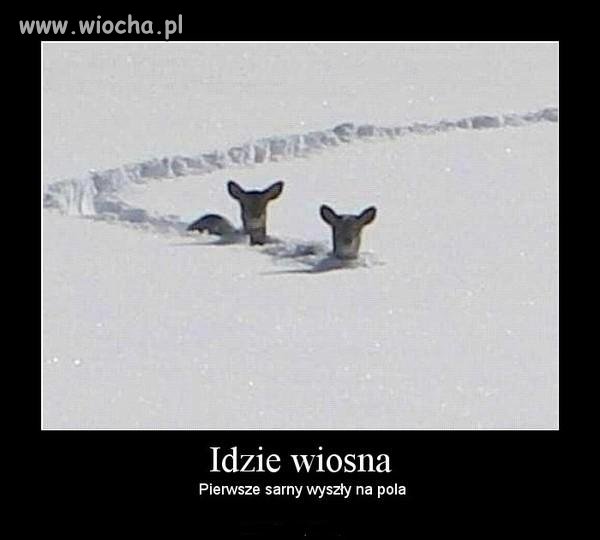 Idzie wiosna