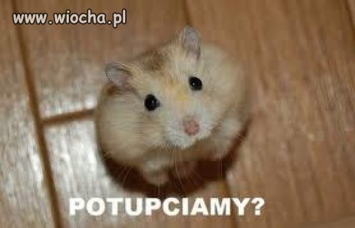 Proszę Cię!!!