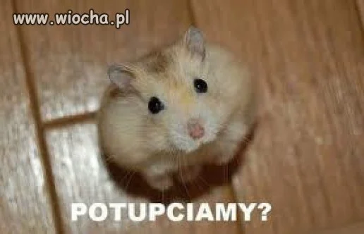 Proszę Cię!!!
