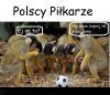 Filozofia gry