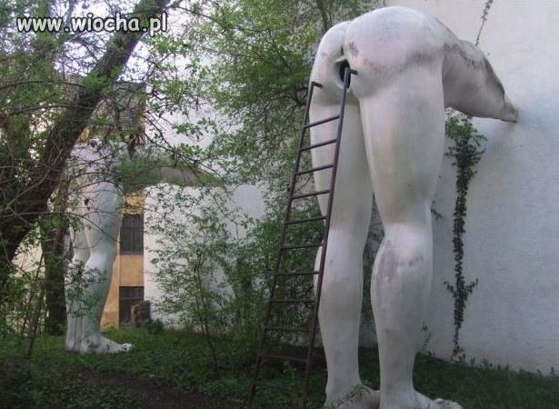 Rzeżba z cyklu 