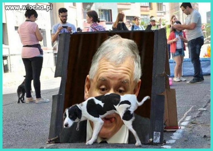 Co o tym myślicie?