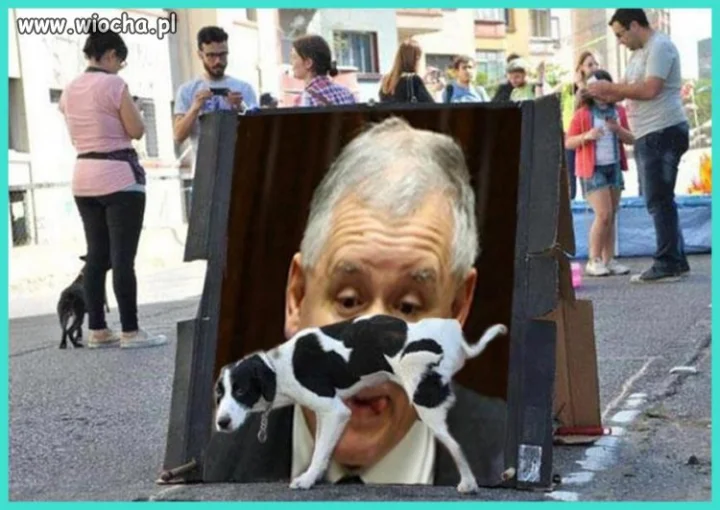 Co o tym myślicie?