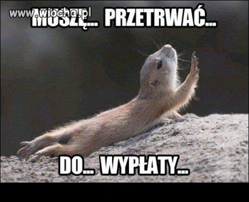 Święta prawda.