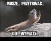Święta prawda.