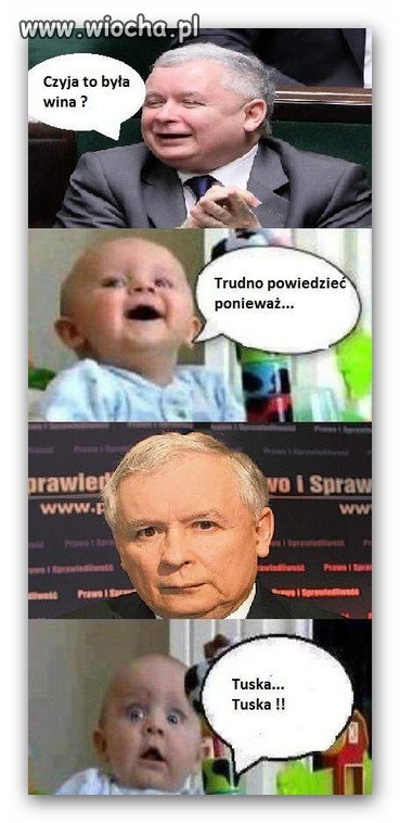 Pękła brzózka - wina Tuska 