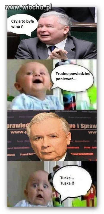 Pękła brzózka - wina Tuska 