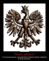 Drodzy piłkarze!