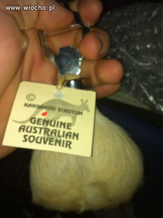 Pamiątka z Australii