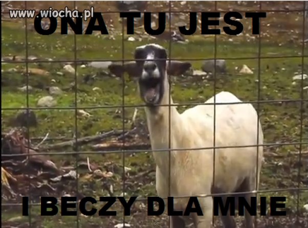 Nowa Wersja Ona tańczy dla mnie