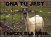 Nowa Wersja Ona tańczy dla mnie