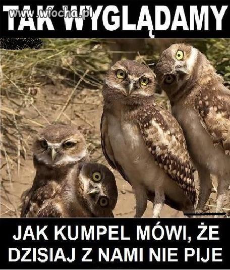 Właśnie tak