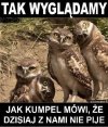 Właśnie tak