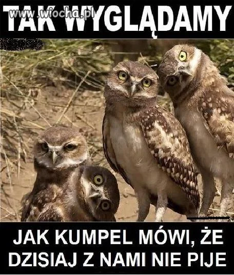 Właśnie tak