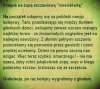 Przepis na zupę szczawiową