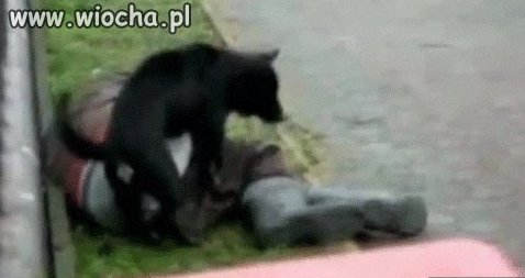 Wracaj trzeźwy (w miarę)