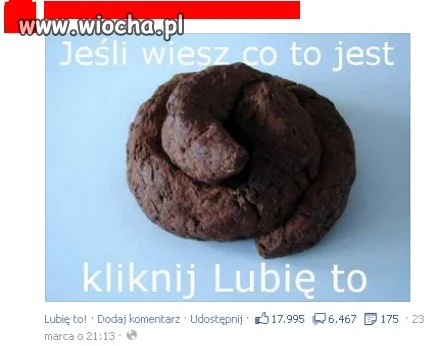 Facebook spada na psy