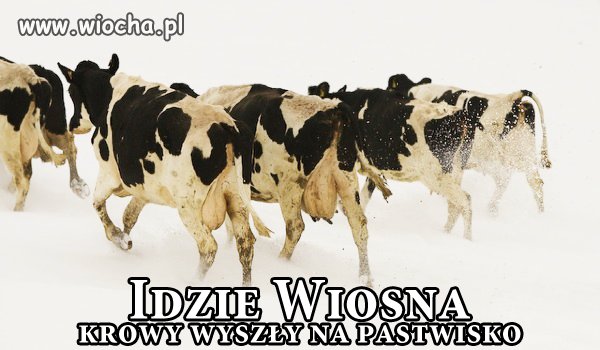 IDZIE WIOSNA 