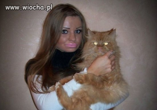 Kot Syjamski w szponach...Glonojada Lądowego