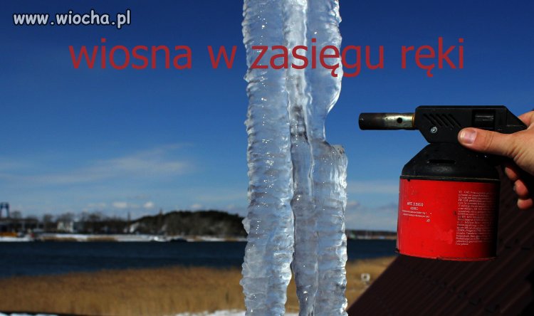 Wiosna w zasięgu ręki