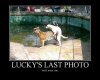 Ostatnia fotka Lucky'ego