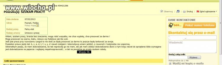 Szukam pracy...