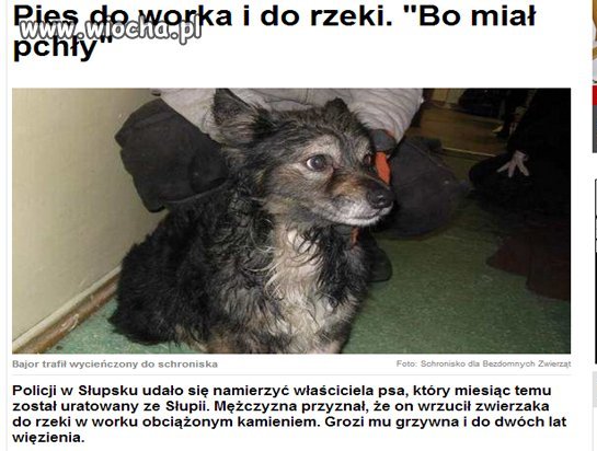 Czasem ludzie nie powinni być zwani nawet 