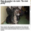 Czasem ludzie nie powinni być zwani nawet 