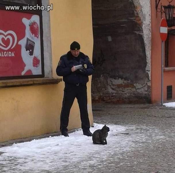 Nie oszczędzą nikogo!